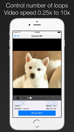 GIFCon - Convert GIFs to video(圖2)-速報App