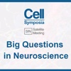 CELLSFN2016