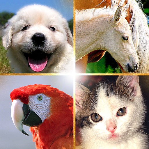 Cute Pets Slideshow & Wallpapers (HD) Icon