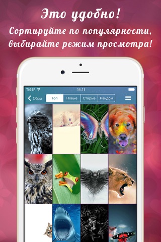 Скриншот из Обои iPhone и обои iPad