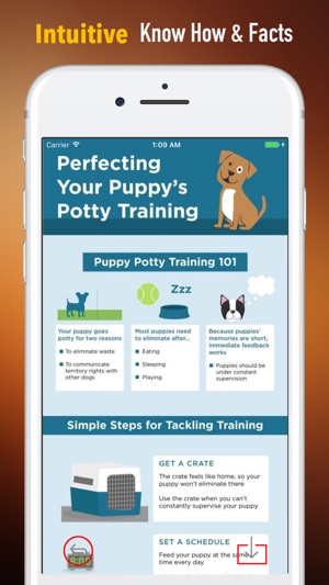 Puppy Training for Beginner Guide - Trai