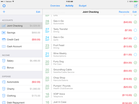 MoneyWell for iPad screenshot 3