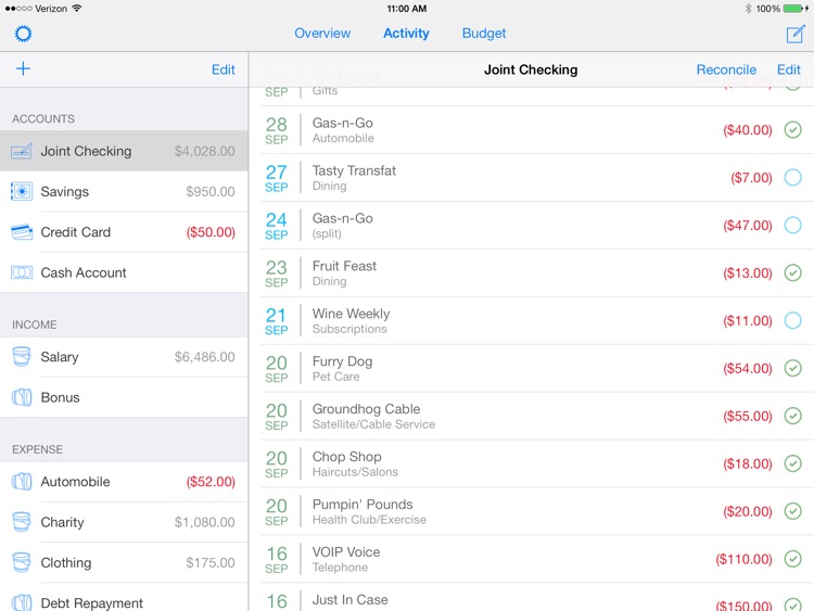 MoneyWell for iPad