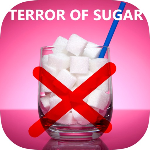 No Sugar Diet - Beginner's Guide