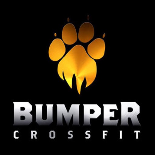 CrossFit Bumper icon