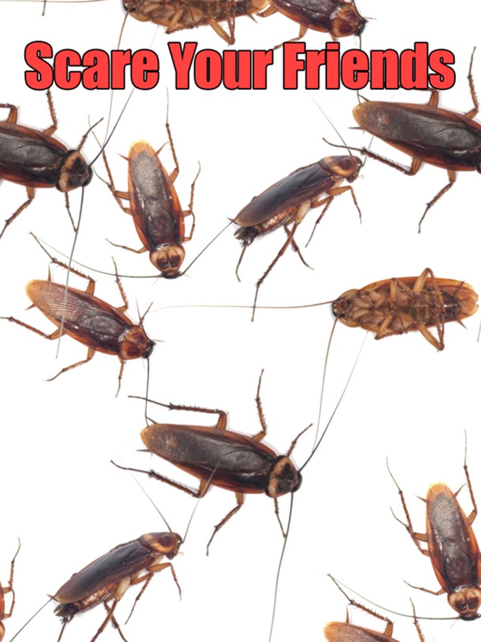 Roach Scare Prank