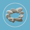 Dr Jon Kabat-Zinn’s Series 3 – NOW available as an app
