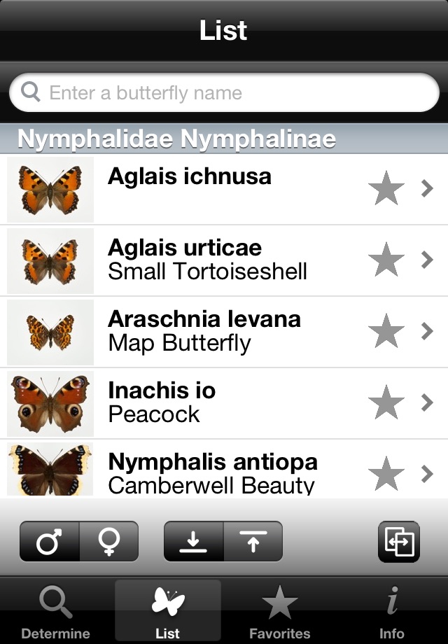 Butterflynder screenshot 2