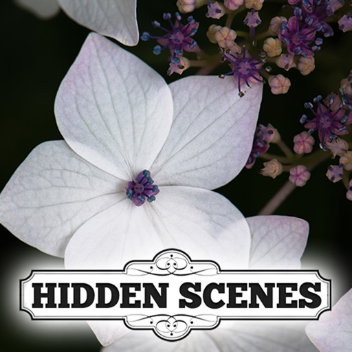 Hidden Scenes - Country Garden Icon