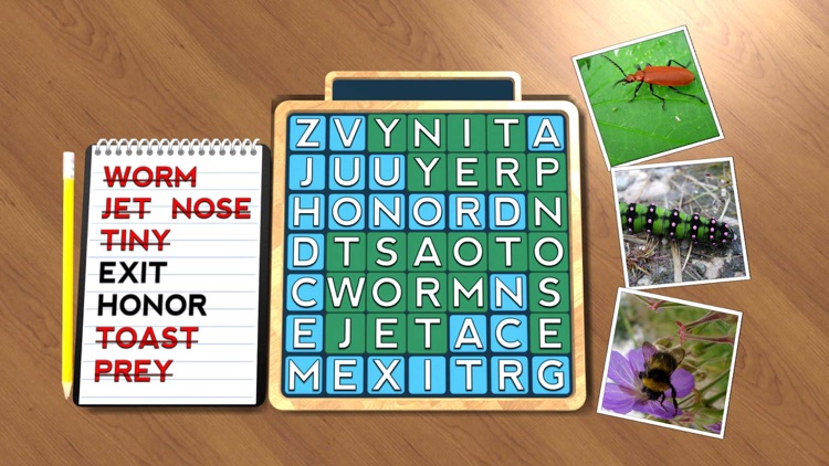 Wordsearch Revealer Critters