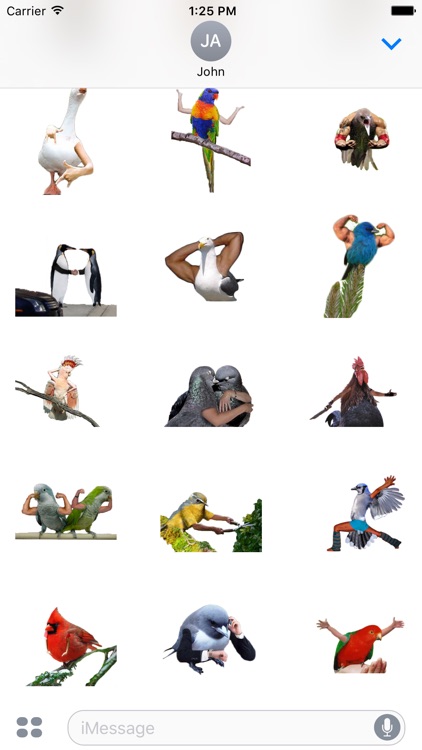 Birds with Arms Stickers