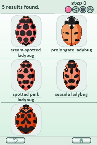 Adalia, Field Guide to Ladybugs of North America screenshot 4