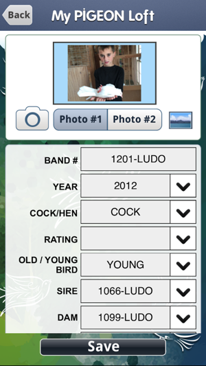 My Pigeon Loft Cloud Edition(圖3)-速報App