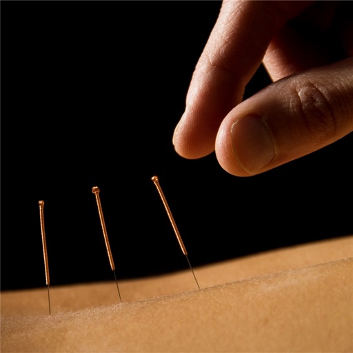Acupuncture 101- Glossary Guide and Study Tutorial icon