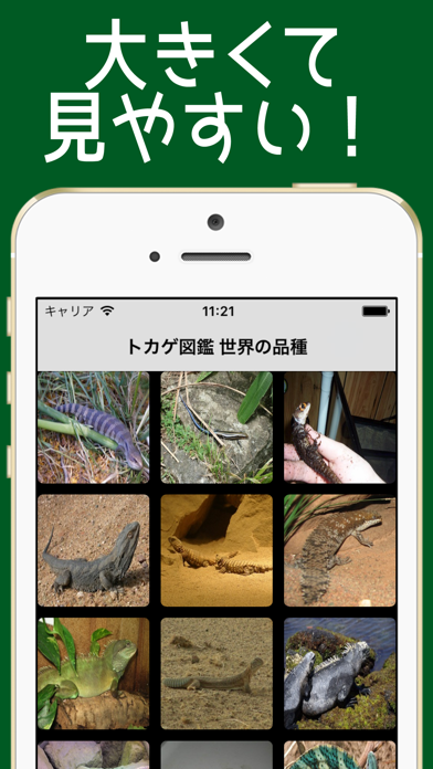 とかげ図鑑 世界の品種 =トカゲ125種類= screenshot1