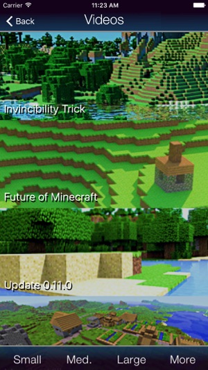 Bases for Minecraft(圖4)-速報App