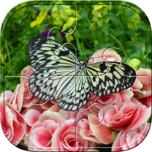 Butterfly Puzzles - Jigsaw Puzzle Game For Kids Icon