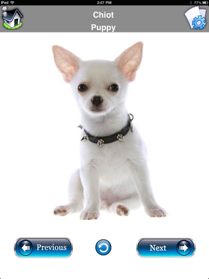 French Flashcards for Kids by EFlashApps Free Download App for iPhone