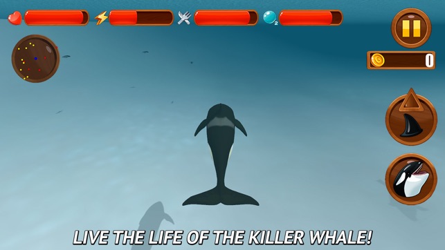 Angry Killer Whale: Orca Simulator 3D