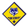 Cub Scout Pack 379