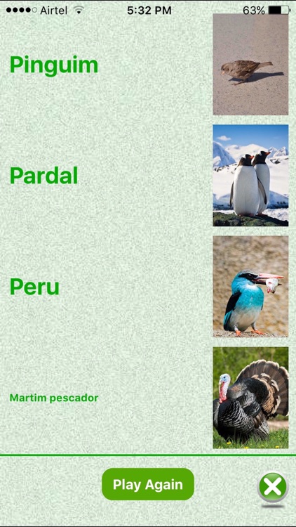 Flashcards Portuguese Lesson screenshot-3