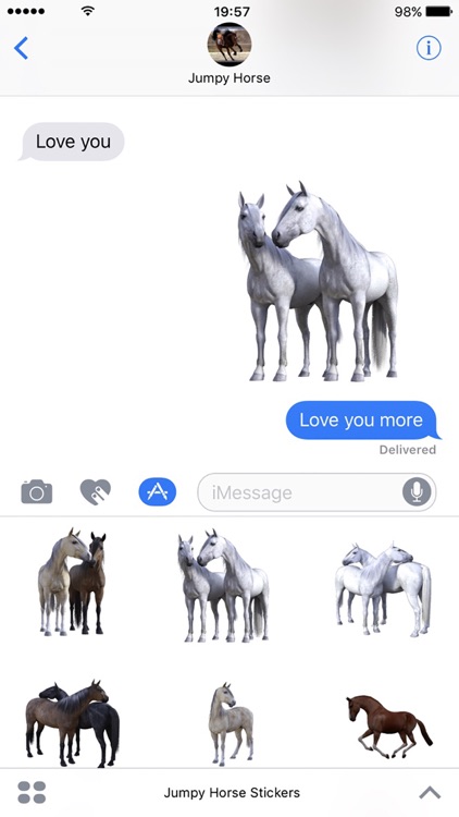 Jumpy Horse Stickers
