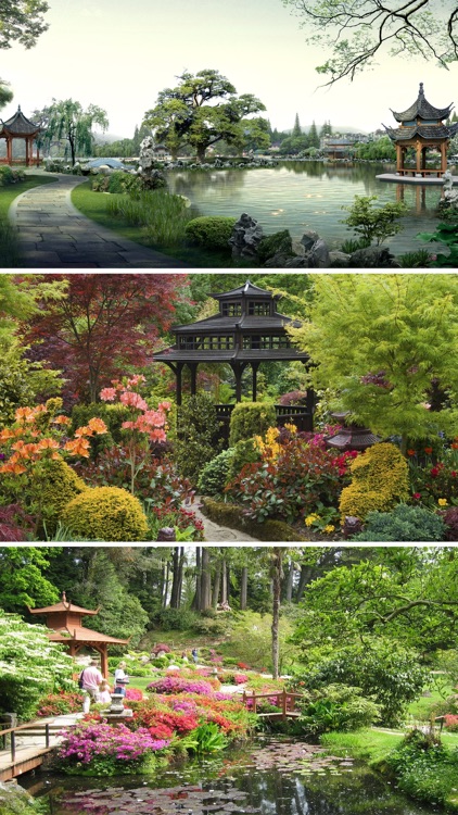 Zen Garden Epic Design Ideas,Japanese Arts Gallery screenshot-3