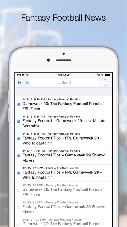 Fantasy Football Manager, Lite