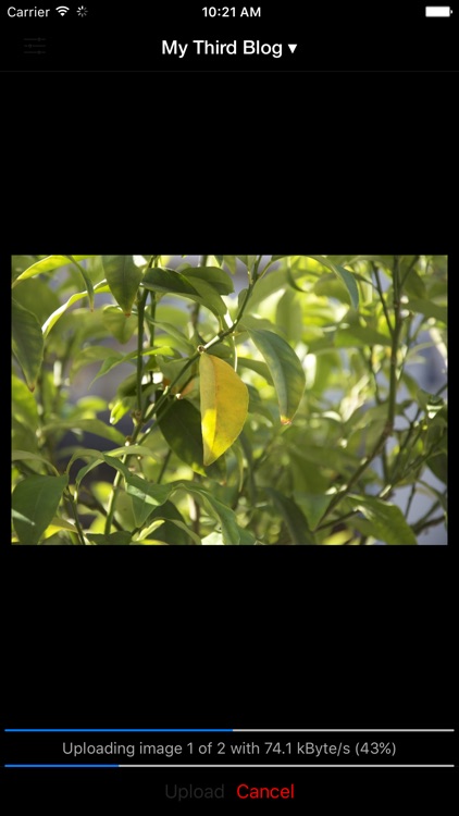 Bulk Image Upload for WordPress screenshot-3