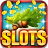 The Oak Slots: Conquer the glorious leaves rewards