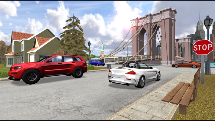 Car Driving Simulator: NY screenshot-4