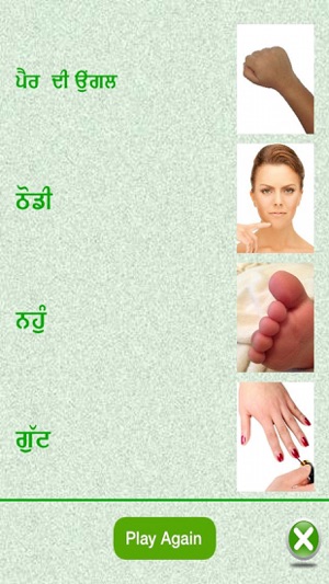 Flashcards Punjabi Lesson(圖4)-速報App