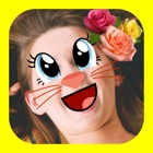Top 40 Social Networking Apps Like Face Changer - Masks, Effects, Crazy Swap Stickers - Best Alternatives