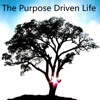 Practical Guide For The Purpose Driven Life|