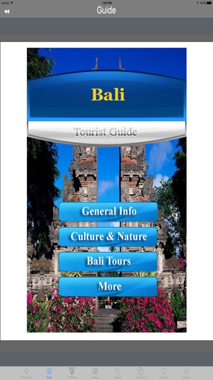 Bali Indonesia Tourist Travel Guide screenshot-3