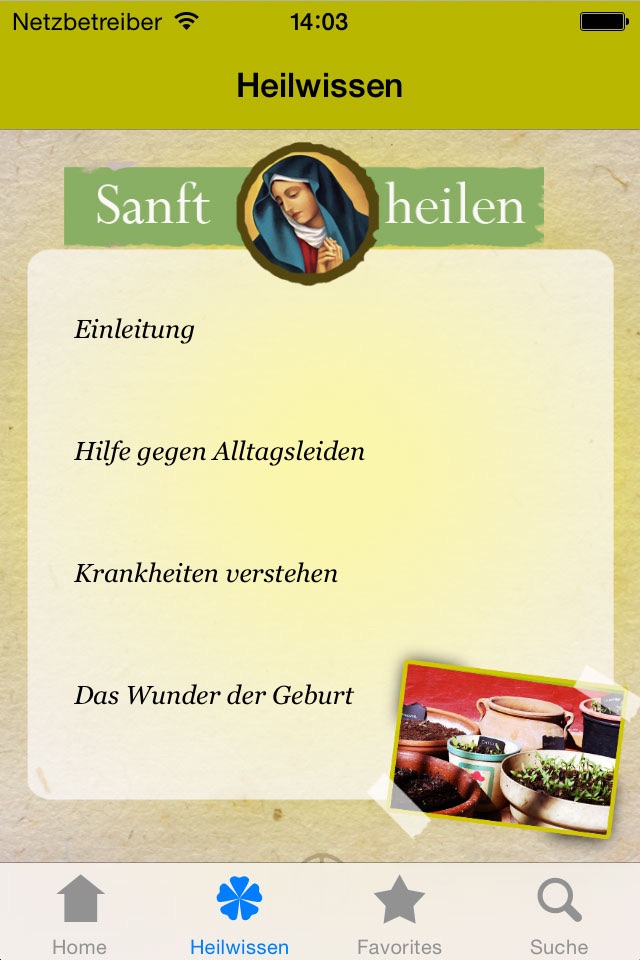 SANFT HEILEN - Naturheilkunde Hildegard von Bingen screenshot 2