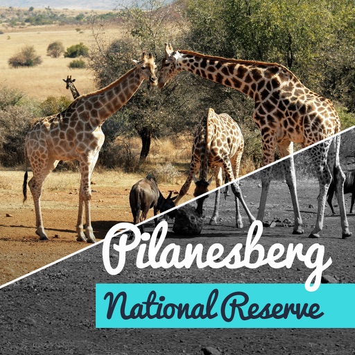 Pilanesberg Game Reserve icon