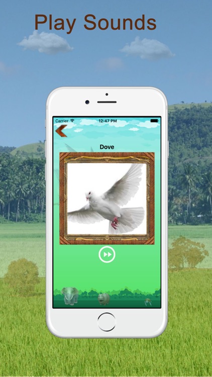 Animal And Bird Sounds screenshot-4