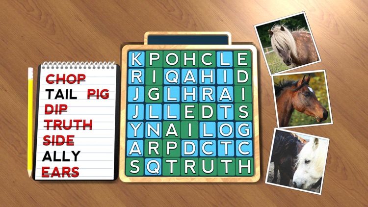 Wordsearch Revealer Horses