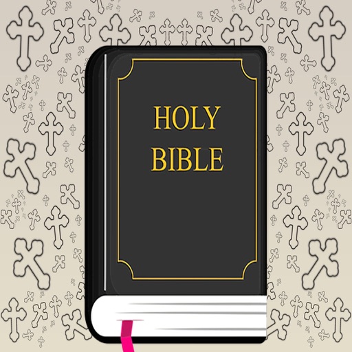 Bible Verse Stickers King James Version iOS App