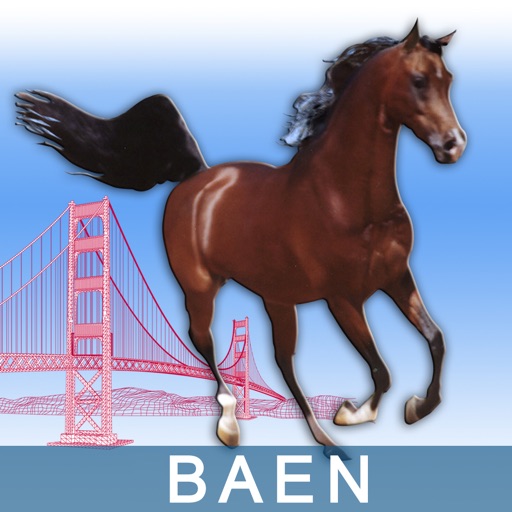BAEN - Bay Area Equestrian Network Icon