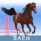 BAEN - Bay Area Equestrian Network