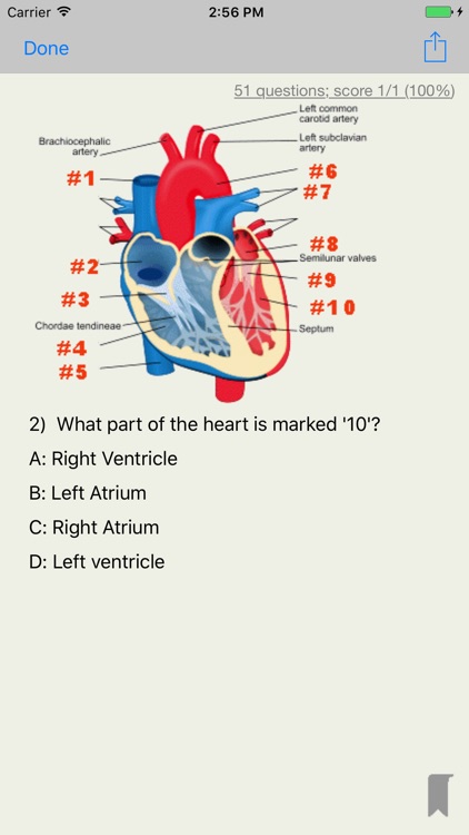 EMT Academy Exam Prep Lite