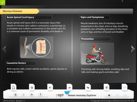 Human anatomy explorer Nervous System screenshot 4