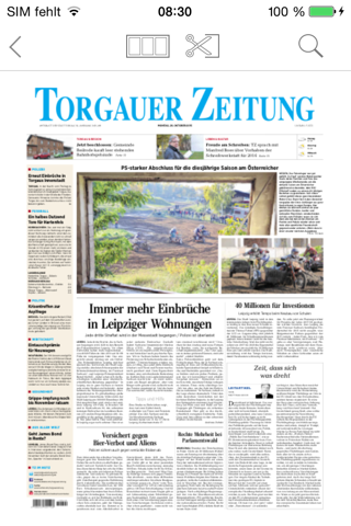 Torgauer Zeitung ePaper screenshot 3