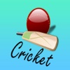 Cricket Stickers