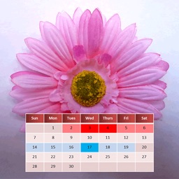 My Menstrual Diary Apple Watch App