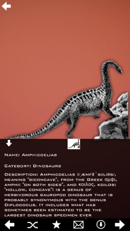 Dynosaurs