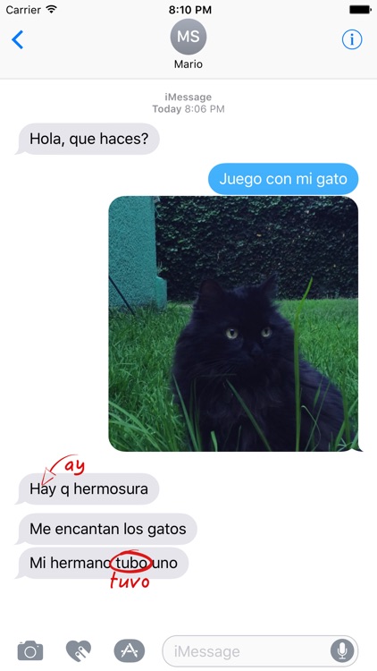 Ortogramista