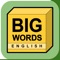 Big Words, English